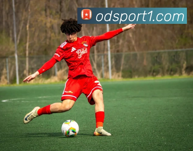 OD体育APP 封面图